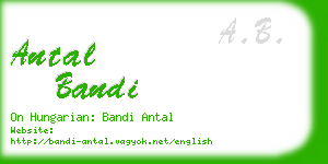 antal bandi business card